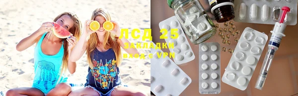 ешки Белокуриха