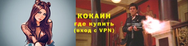 ешки Белокуриха