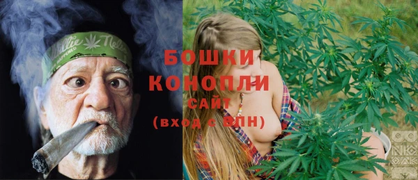 ешки Белокуриха