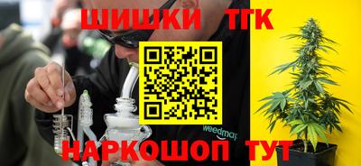 ешки Можга