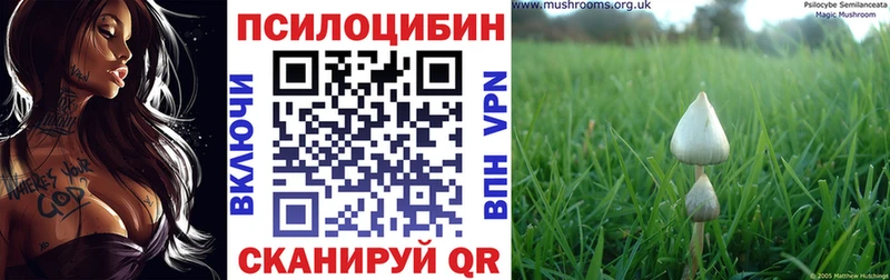 blacksprut как войти  Благодарный  Галлюциногенные грибы Psilocybine cubensis 