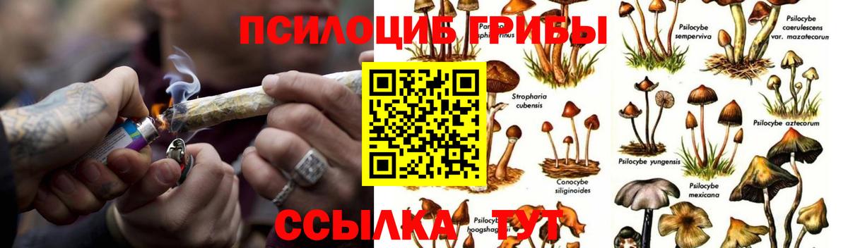 Благодарный  Галлюциногенные грибы Cubensis  Вход с VPN  купить наркотик  Галлюциногенные грибы GOLDEN TEACHER 